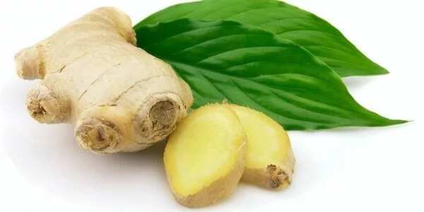 Ginger and its effects on us