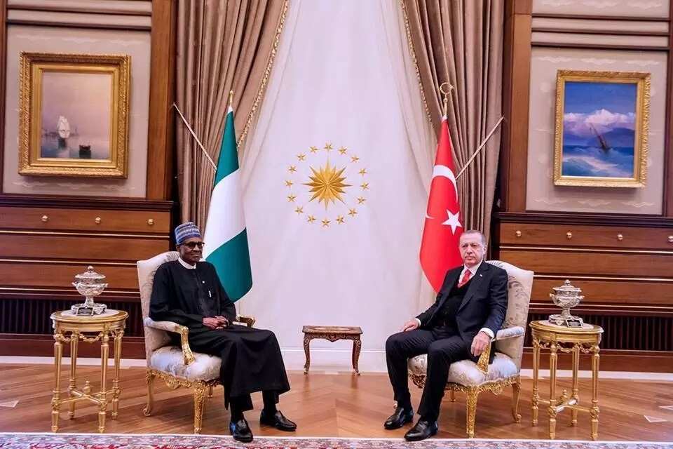 Buhari visits mausoleum of Turkey’s founding father, meets Erdogan (photos)