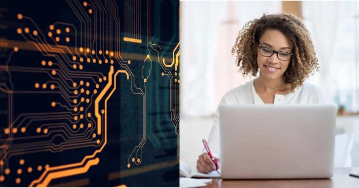 Subjects needed to study Computer Science in Nigeria Legit.ng