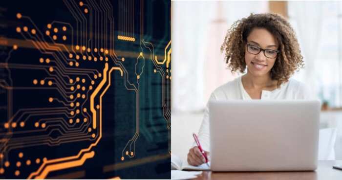 Subjects Needed To Study Computer Science In Nigeria