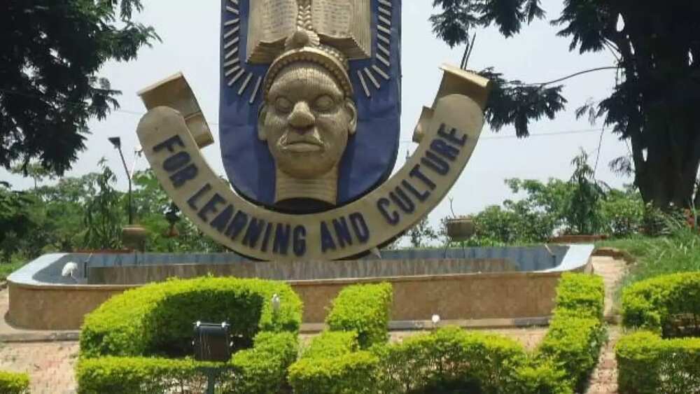 OAU Pre-degree school fees