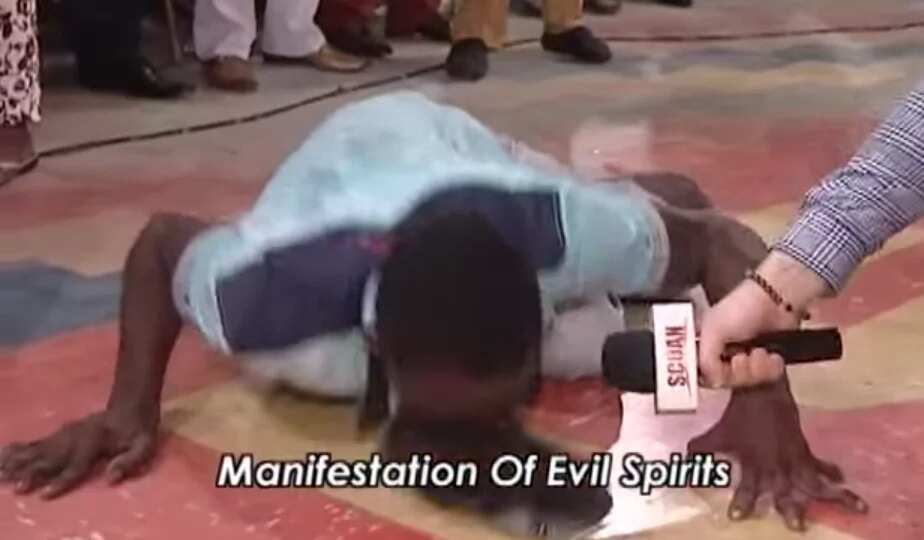 Man turns to 'bush dog' at TB Joshua's Synagogue (photo, video)