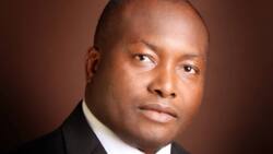 Top facts from the biography of Dr. Patrick Ifeanyi Ubah