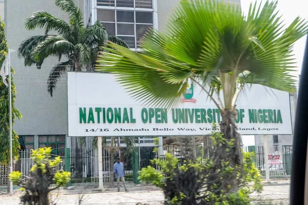 National Open University Courses For Master's Programme - Legit.ng