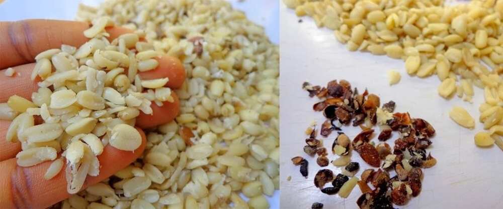 seeds seeds