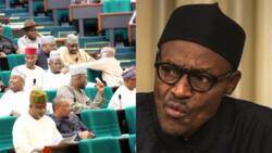 Peace Corps bill: House of Representatives vows to override Buhari's rejection