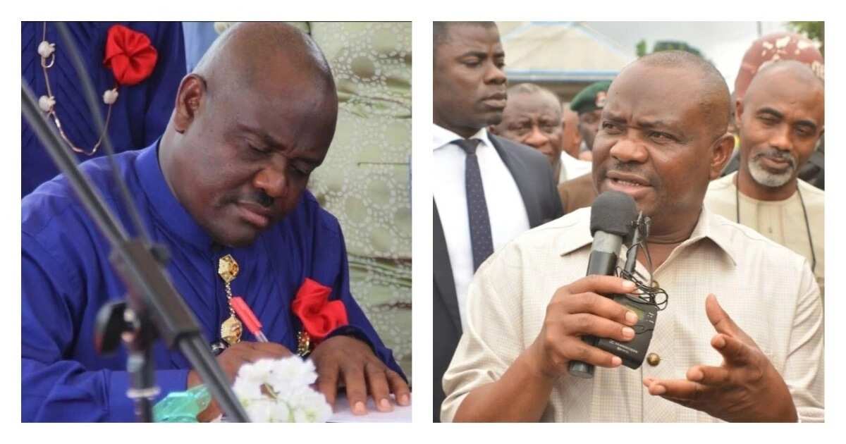 Nyesom Wike's Biography And Career - Legit.ng