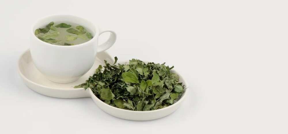 moringa tea leaves moringa tea leaves
