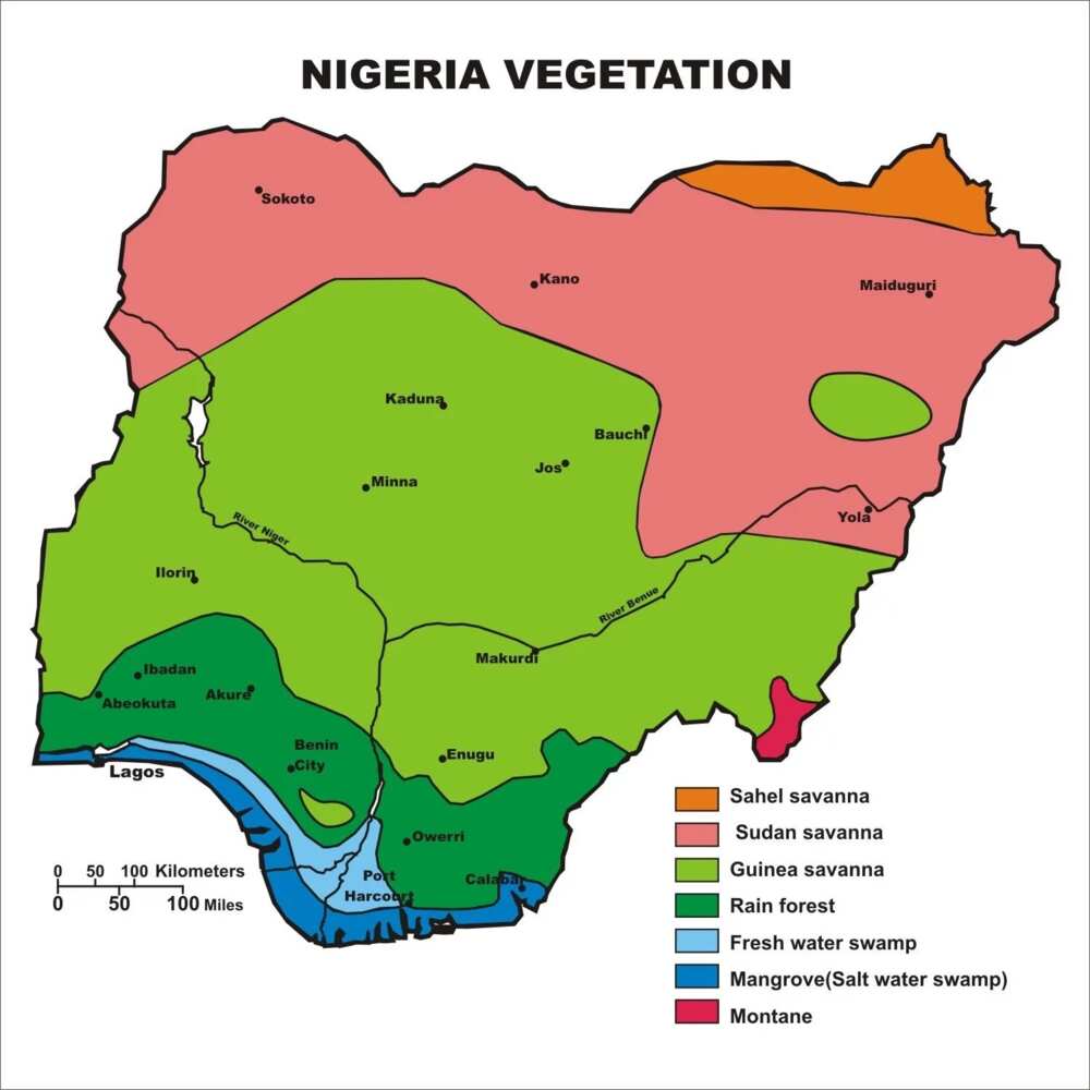Two types of vegetation in Nigeria