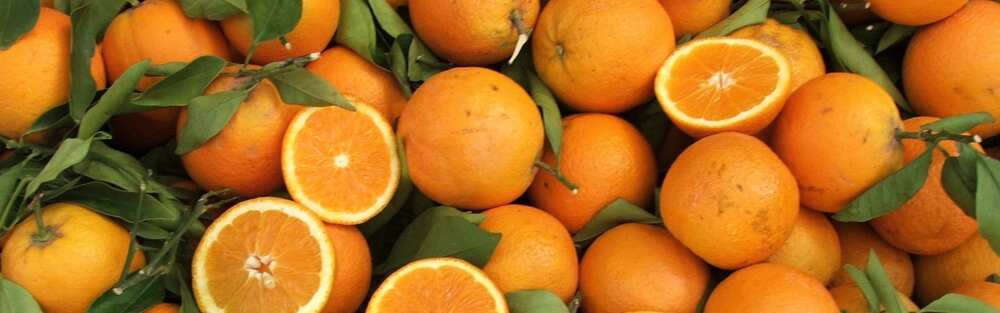 Types of oranges