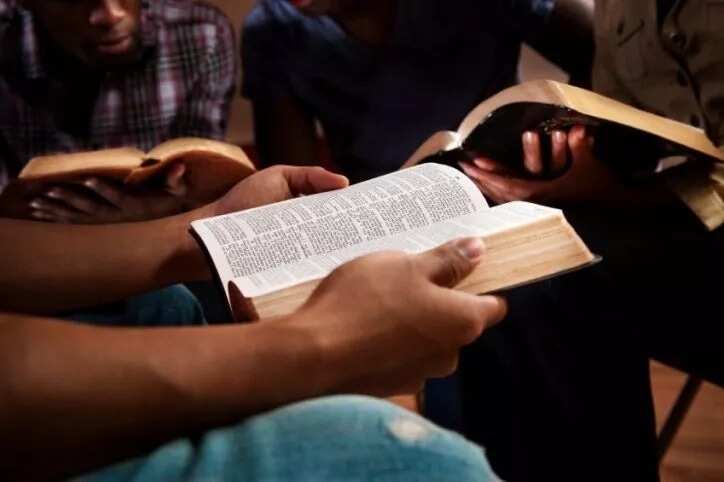 bible-study-topics-for-youth-legit-ng