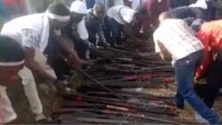 Militants in Ondo state surrender hundreds of exotic guns to government (video)