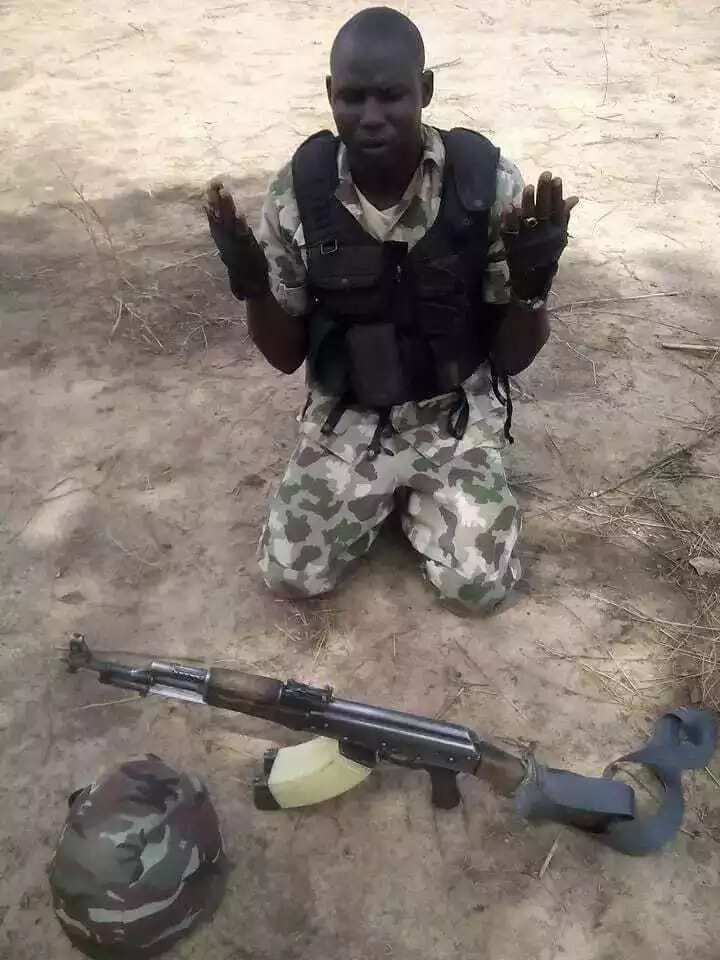 Sojan daya ya shirya mutuwa Sojan daya ya shirya mutuwa