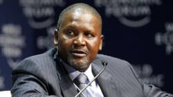 Ghana happy over Dangote Refinery, says import would reduce