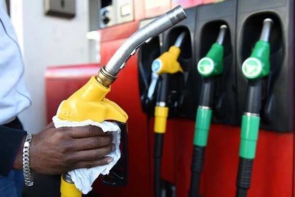 DPR predicts only rich will use petrol cars by 2022