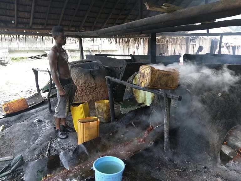 How Ogogoro Is Produced In Nigeria (PHOTOS)