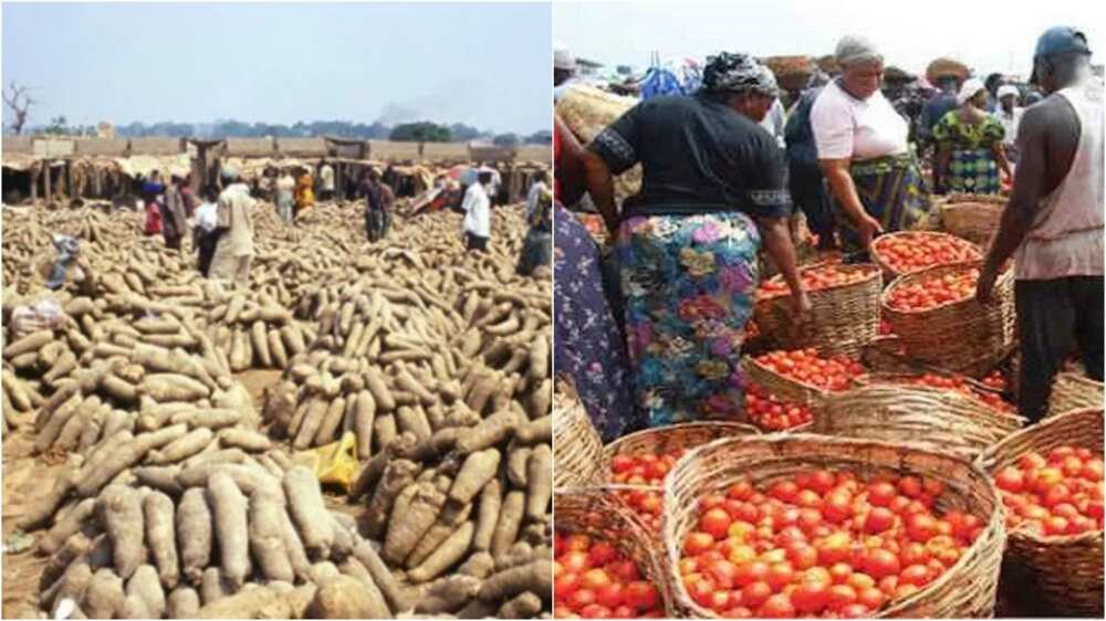 Nigerians are hungry because of poverty, minister says.
