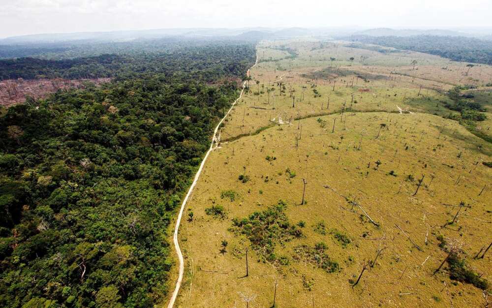 Deforestation in Nigeria and its implication on economy