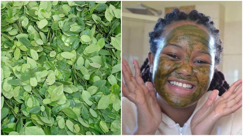 How to use moringa leaves for skin care