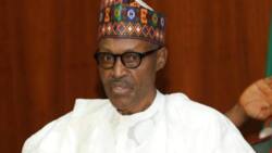 ACF, Afenifere, others tell Buhari to end attacks, killings