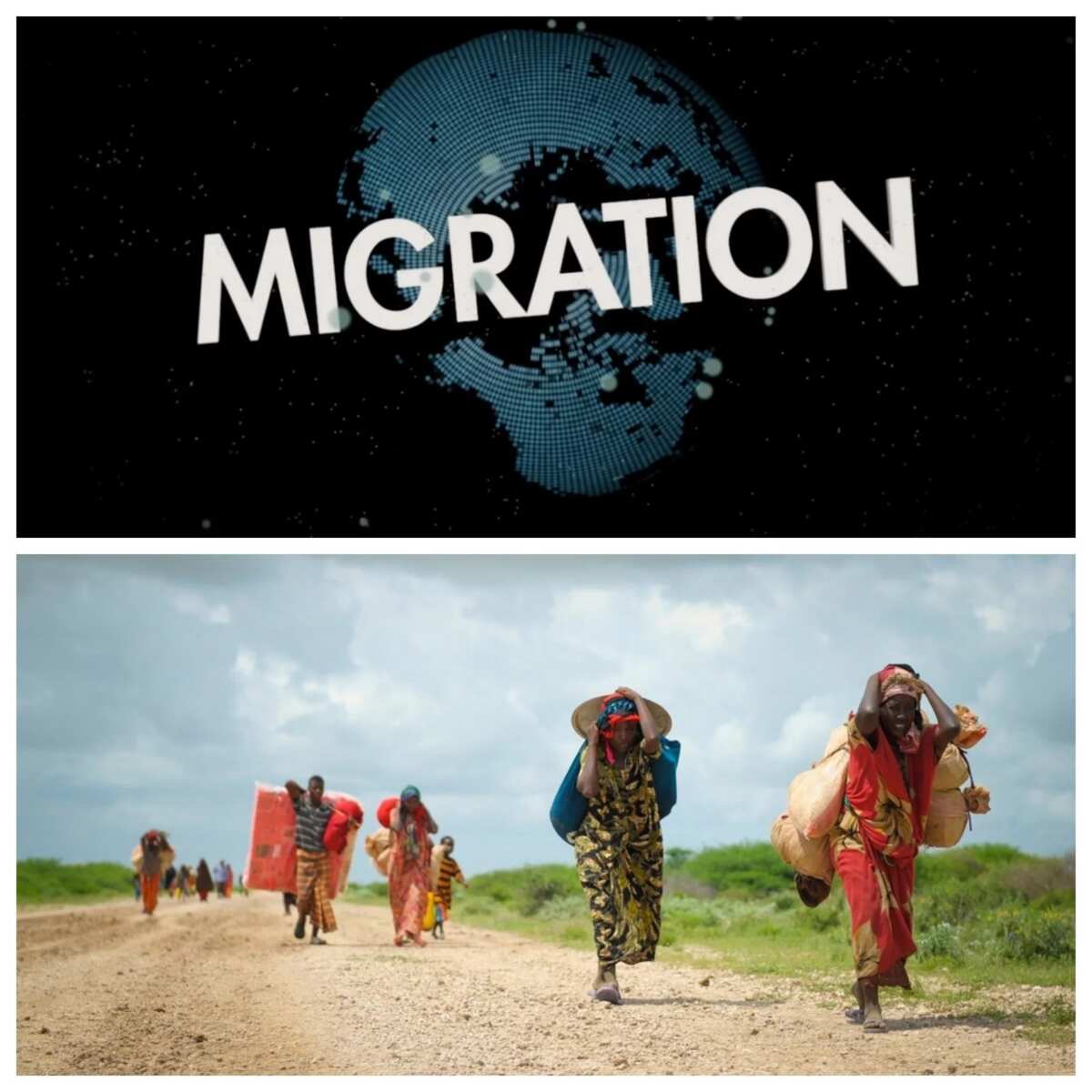 how-many-types-of-migration-are-there-legit-ng