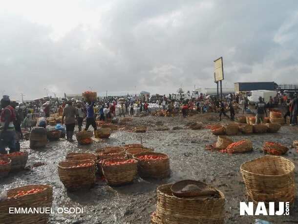 Hausa traders relocate to unhealthy location after crisis