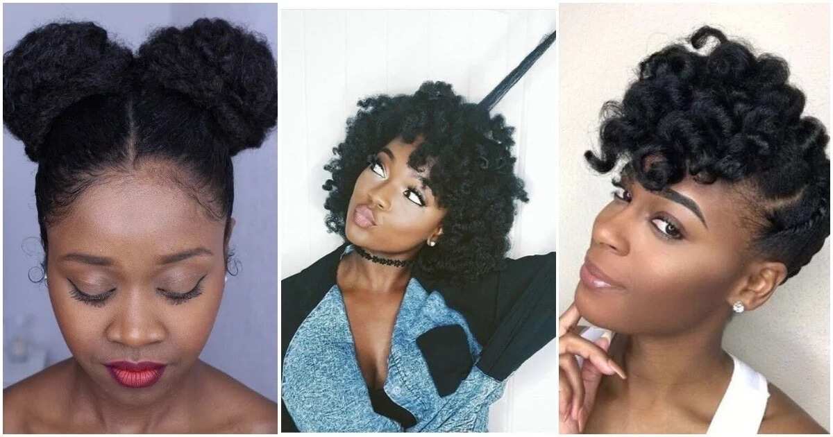 Top 50 black natural hairstyles for medium length hair 202223  Legitng