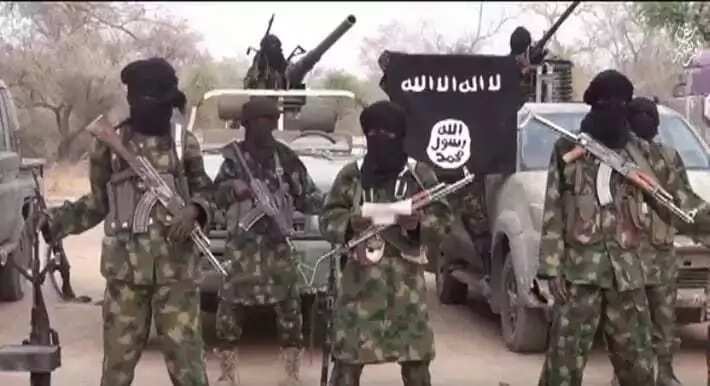 Abubakar Shekau kills Boko Haram spokesman