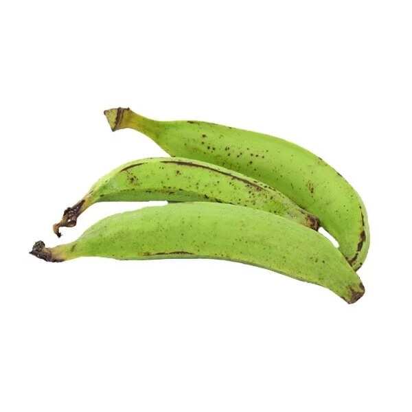 What are the benefits of unripe plantain for weight loss?