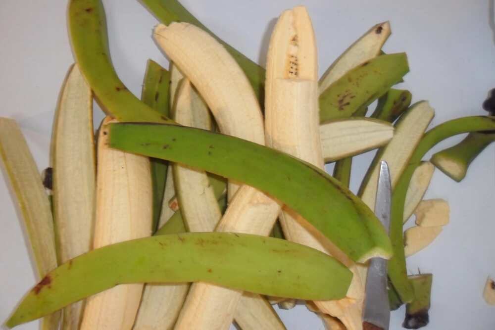 uses of unripe plantain peels