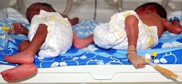 NAN's chief editor and wife welcome quadruplets after 7 years of marriage