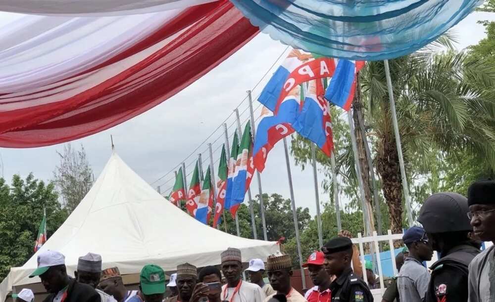 2019: Sanatoci 12, mambobin majalisar wakilai 70 sun dira Kaduna domin nuna goyon baya ga Buhari