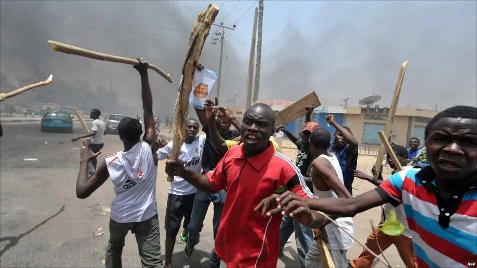 Nigerians Nigerians