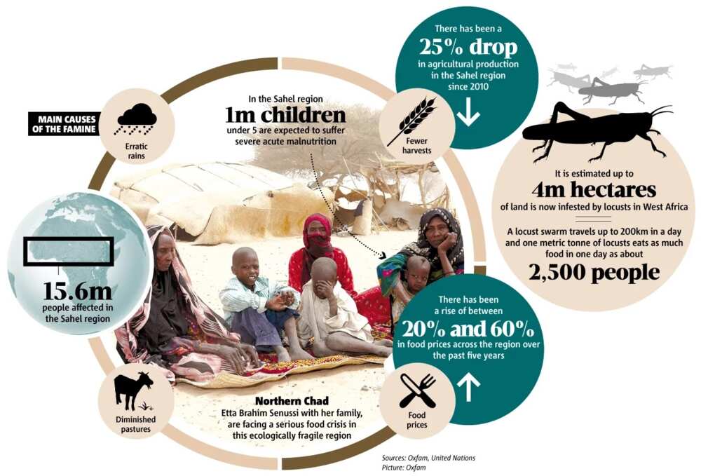 The infographic information on Sahel issue