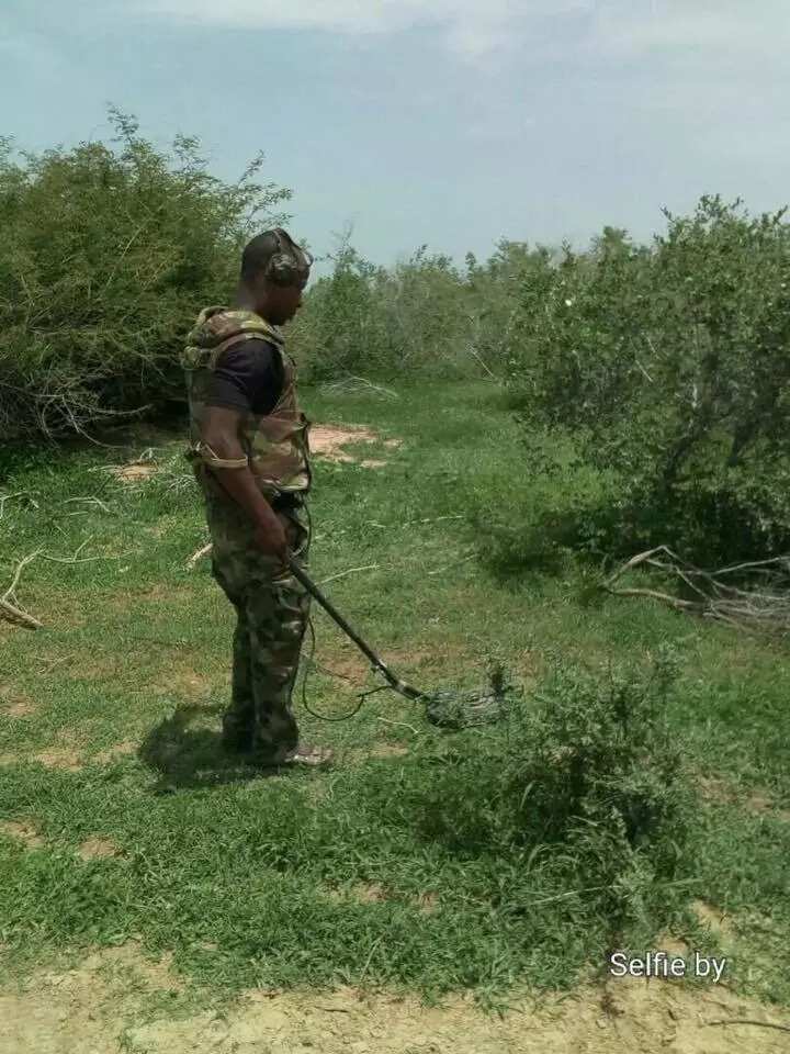 Troops arrest Boko Haram member, recovers and destroys IED