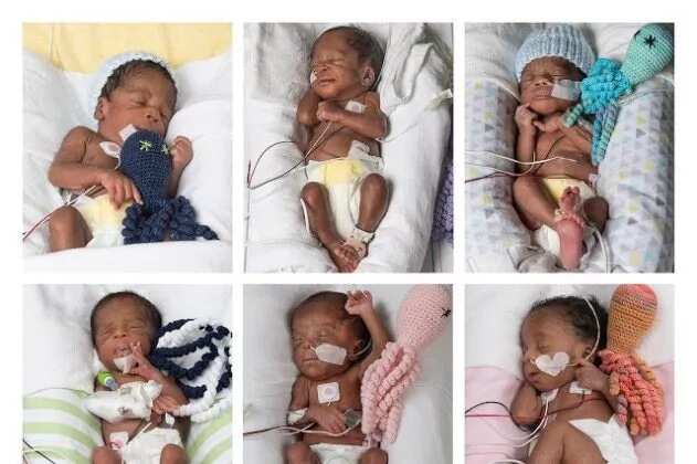 Nigerian couple who gave birth to sextuplets after 17 years of being childless gets discharged (photos)