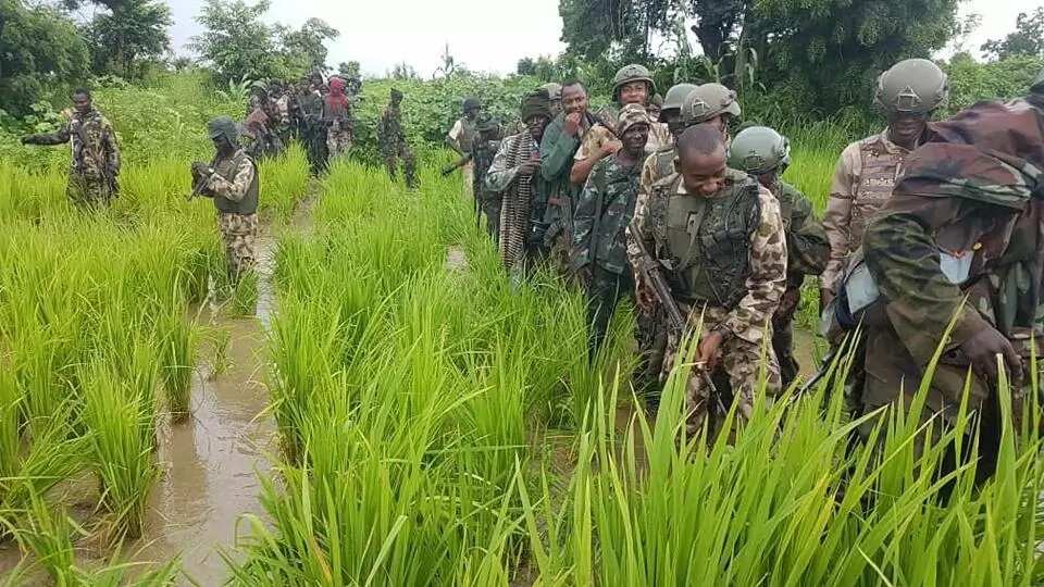 Boko Haram ta kashe wani Kwamandan ta da ya yi yunkurin mika wuya