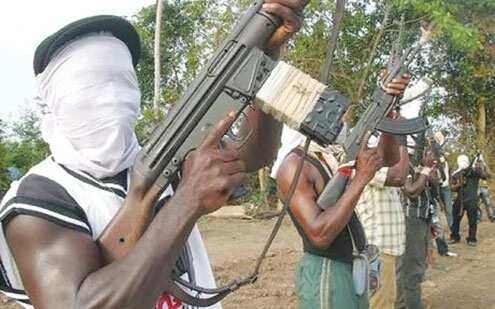 BREAKING: Gunmen kill 2 foreigners, 5 others in Adamawa