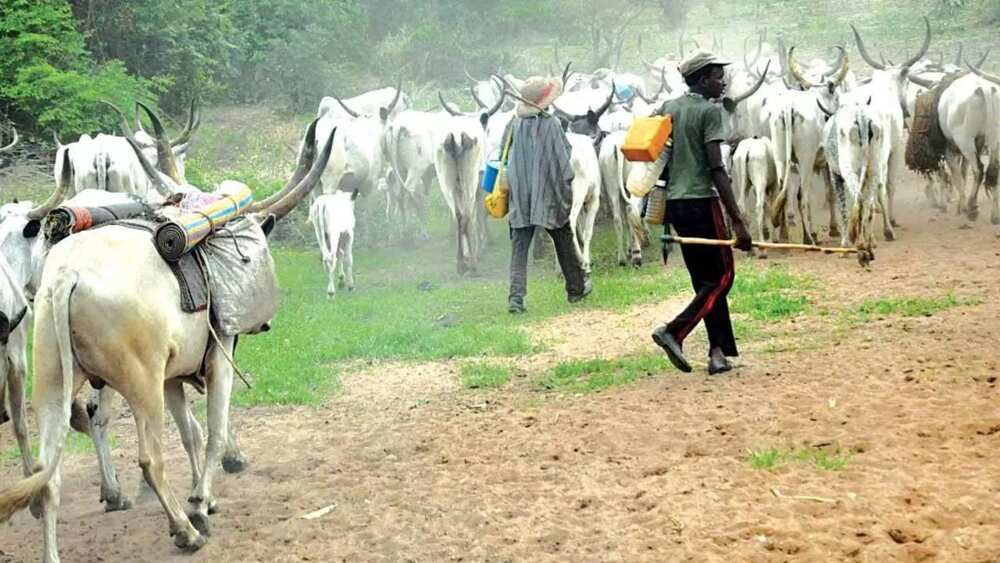 Sarkin Borgu ya dakatar da manyan yan fada kan taimaka wa makiyaya