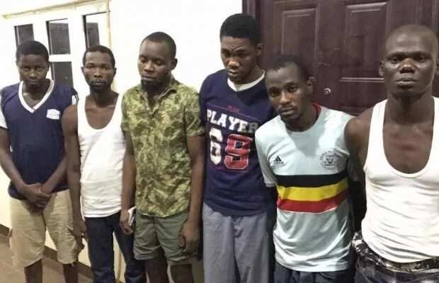 Notorious robbery gang led by 22-year-old arrested in Lagos (photos)