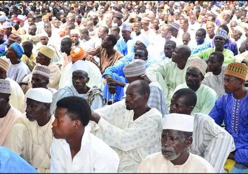 Borno enjoys peaceful Sallah after military stops bomber