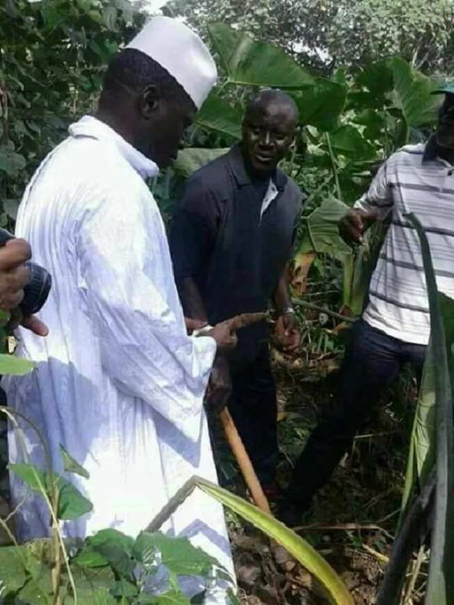 Tsohon shugaban Gambia, Yahaya Jammeh ya koma gona