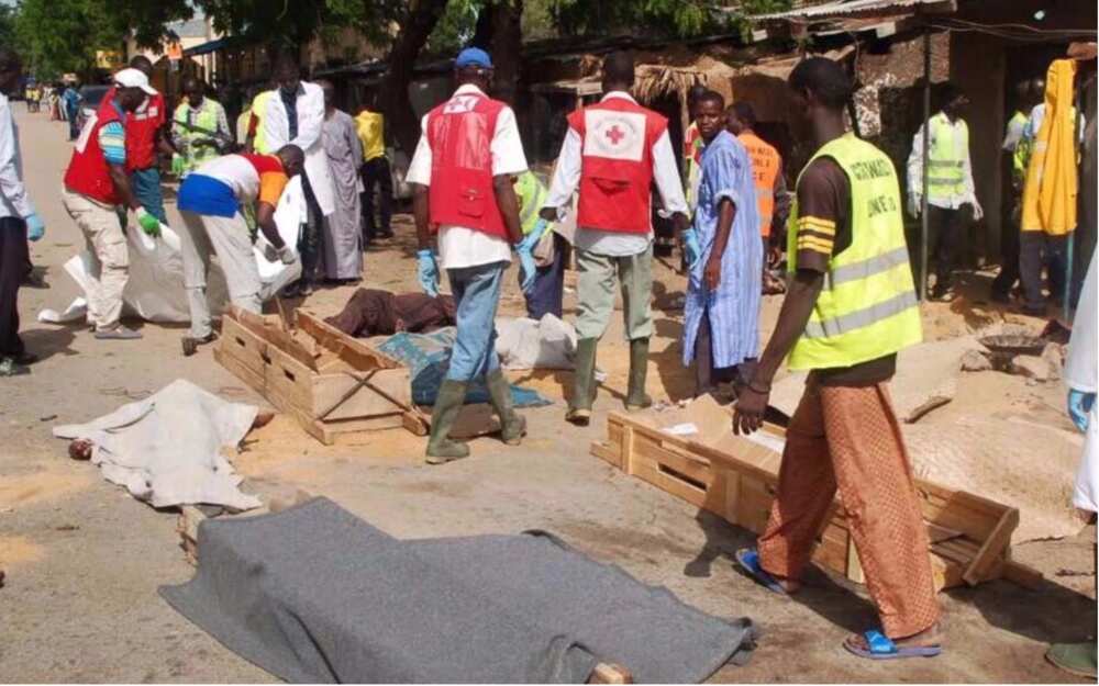 Boko Haram strikes again on Cameroon-Nigeria border,16 dead