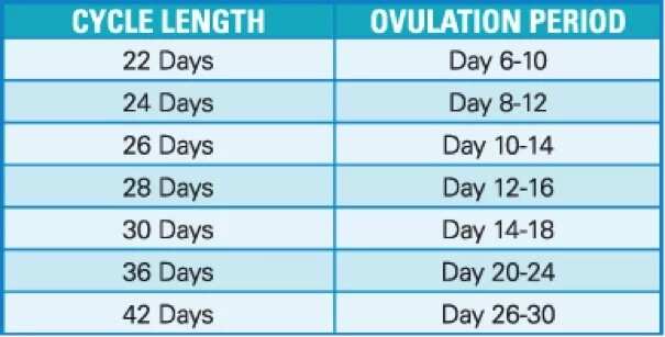 36 Day Menstrual Cycle Chart