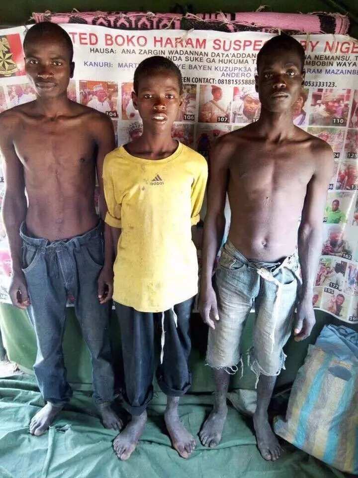 13-year-old Boko Haram terrorists surrenders (photo)