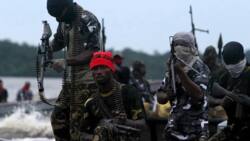 Finally: The sponsors of Niger Delta Avengers uncovered