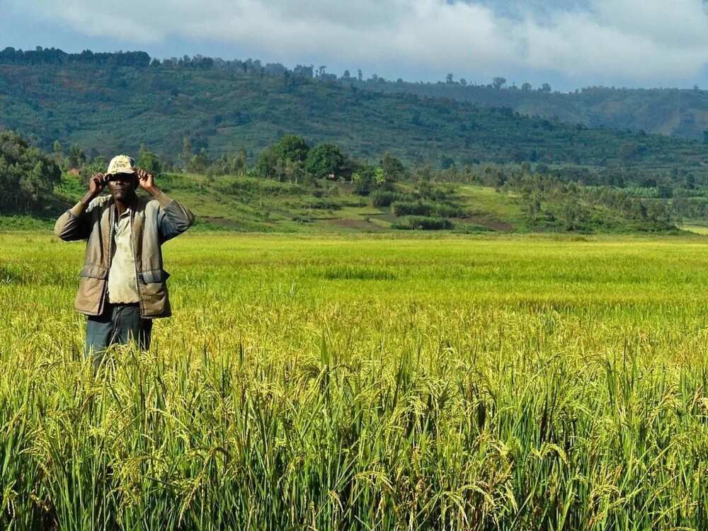 5-types-of-land-tenure-system-in-nigeria-legit-ng