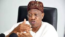 Travel ban: Lai Mohmmed angry with UK, says action discriminatory against Nigeria