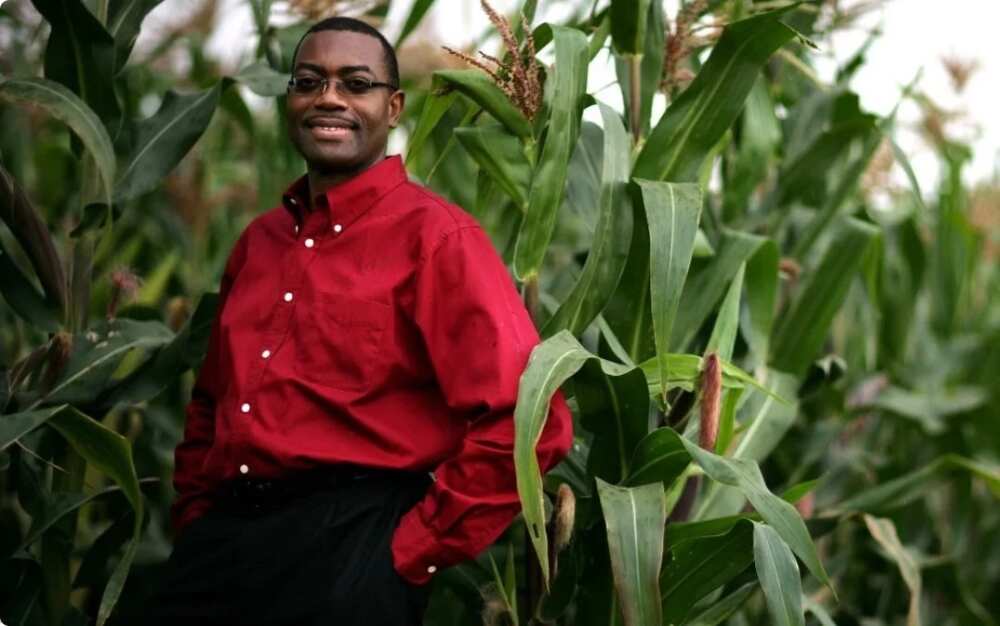 Agriculture Agriculture