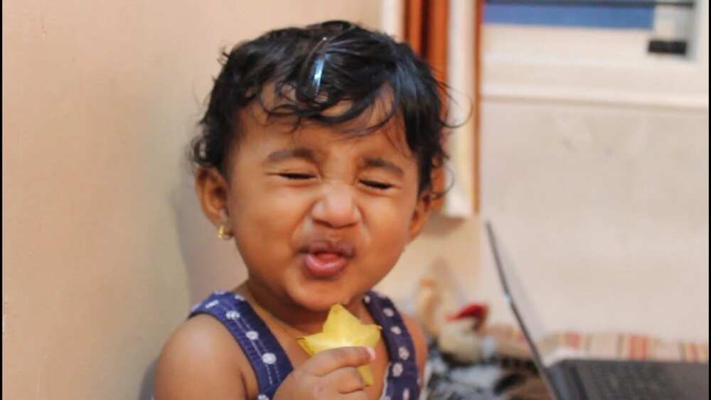 eating star fruit eating star fruit